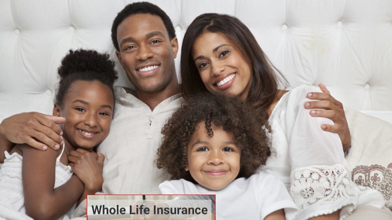 Whole life insurance: What it's & how it works