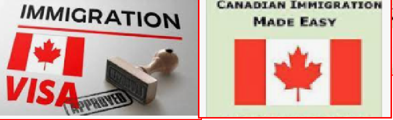 canada-visa-status-how-coming-to-canada-is-made-easy-professional-marks