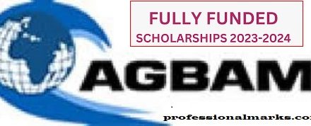 Agbami Undergraduate Scholarship 2023/2024: How to apply