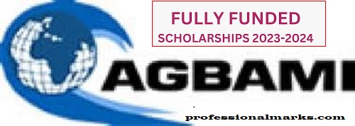 Agbami Undergraduate Scholarship 2023/2024: How to apply