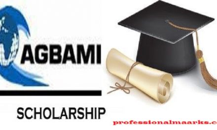 Agbami Medical and Engineering Scholarship 2023/2024: How to apply