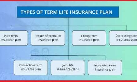 Term life insurance is Fully Explained here now