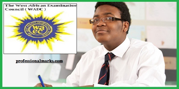 What is the WAEC candidate profile?