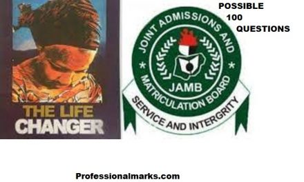 Possible Approved Questions From JAMB Novel: The Life Changer
