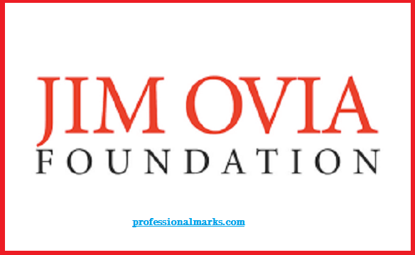 Jim Ovia Scholarship 2023: This is how to apply