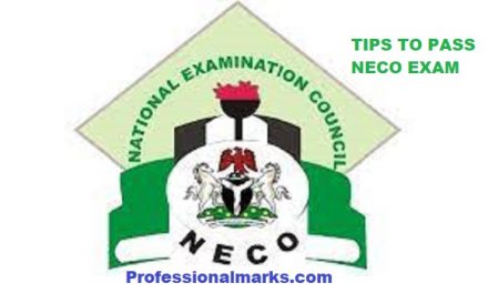 Interesting And Authentic Tips On How To Pass NECO