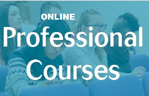Online professional courses in Nigeria