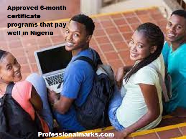 Approved 6-month certificate programs that pay well in Nigeria