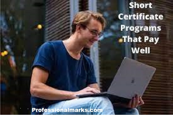 Short certificate programs that pay well in Abuja Nigeria & How to apply