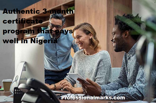 Authentic 3-month certificate program that pays well in Nigeria