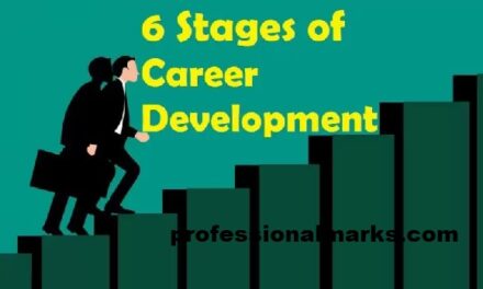 Here are Stages for Career development for Nigerian professionals