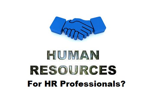 Who are the HR Professionals?