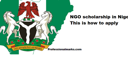 NGO scholarship in Nigeria: This is how to apply