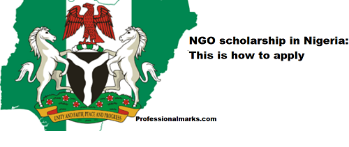 NGO scholarship in Nigeria: This is how to apply