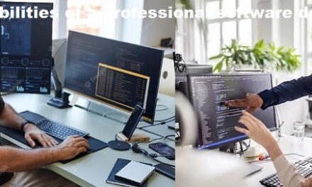 Responsibilities of a professional software developer