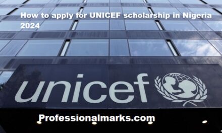 How to apply for UNICEF scholarship in Nigeria 2024