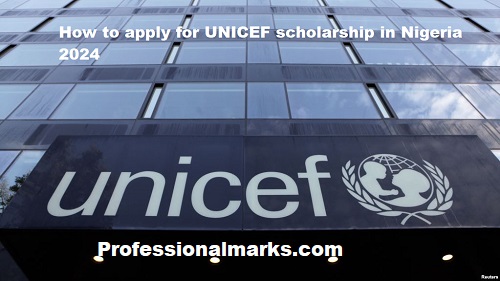 How to apply for UNICEF scholarship in Nigeria 2024