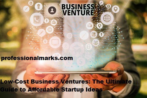 Low-Cost Business Ventures: The Ultimate Guide to Affordable Startup Ideas