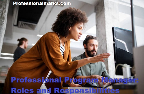 The Professional Program Manager: Roles and Responsibilities
