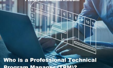 Who is a Professional Technical Program Manager (TPM)?