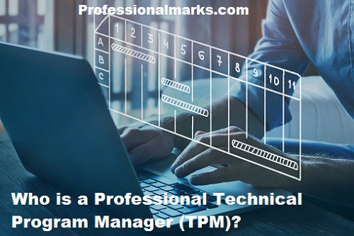 Who is a Professional Technical Program Manager (TPM)?