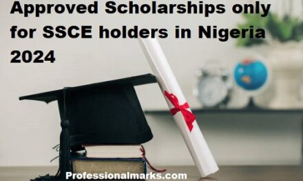 Approved Scholarships only for SSCE holders in Nigeria 2024