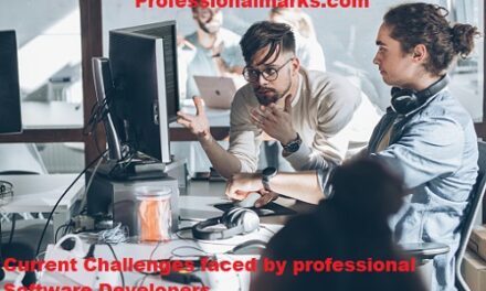 Current Challenges faced by professional Software Developers