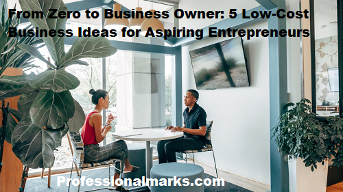 From Zero to Business Owner: 5 Low-Cost Business Ideas for Aspiring Entrepreneurs