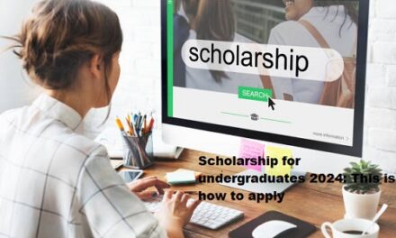 Scholarship for undergraduates 2024: This is how to apply