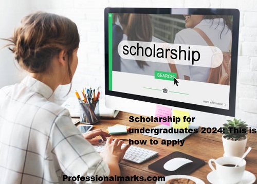 Scholarship for undergraduates 2024: This is how to apply