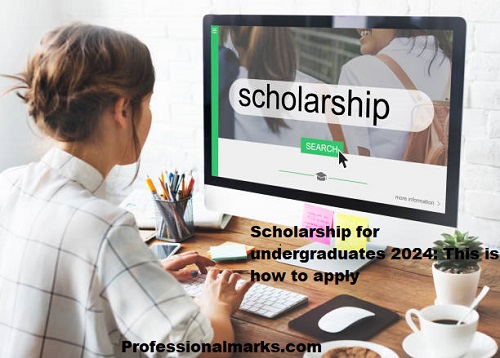 Scholarship For Undergraduates 2024 This Is How To Apply   Scholarshipsss 