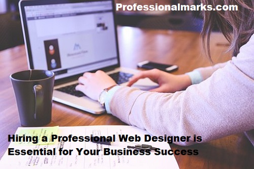 Hiring a Professional Web Designer is Essential for Your Business Success