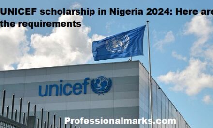 UNICEF scholarship in Nigeria 2024: Here are the requirements