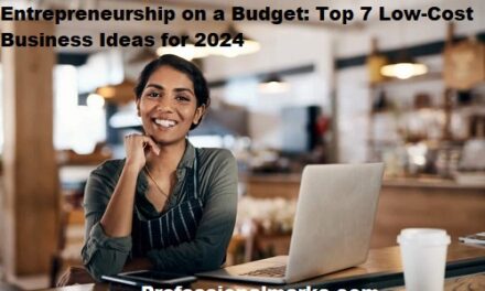 Entrepreneurship on a Budget: Top 7 Low-Cost Business Ideas for 2024