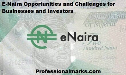 E-Naira Opportunities and Challenges for Businesses and Investors