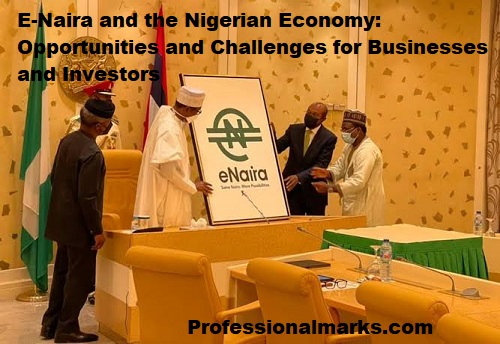 E-Naira and the Nigerian Economy: Opportunities and Challenges for Businesses and Investors