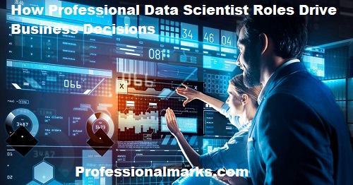 How Professional Data Scientist Roles Drive Business Decisions