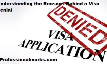 Understanding the Reasons Behind a Visa Denial