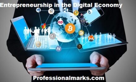 Entrepreneurship in the Digital Economy
