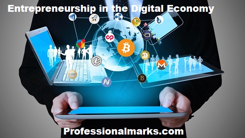 Entrepreneurship in the Digital Economy