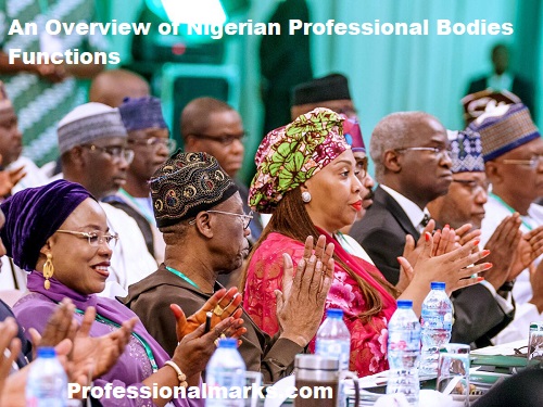 An Overview of Nigerian Professional Bodies Functions