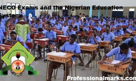 NECO Exams and the Nigerian Education System: Challenges, Opportunities, and the Way Forward