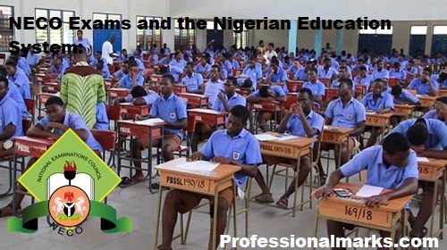 NECO Exams and the Nigerian Education System:
