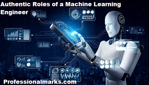 Authentic Roles of a Machine Learning Engineer