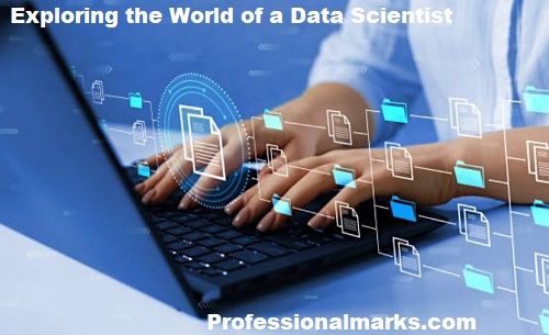 Exploring the World of a Data Scientist