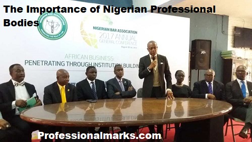 The Importance of Nigerian Professional Bodies