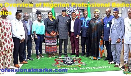 An Overview of Nigerian Professional Bodies Roles