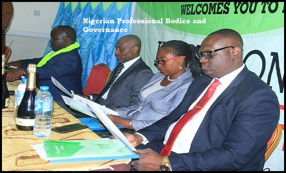 The Role of Nigerian Professional Bodies in Shaping National Governance