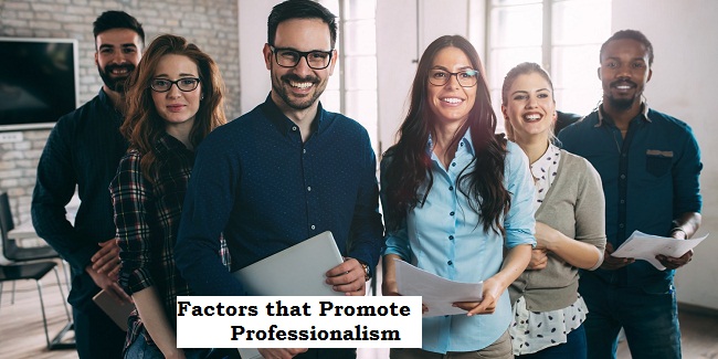 10 Top Most Factors that Promote Professionalism in Nigeria