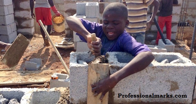 What are the functions of the Nigeria Institute of Building (NIOB)